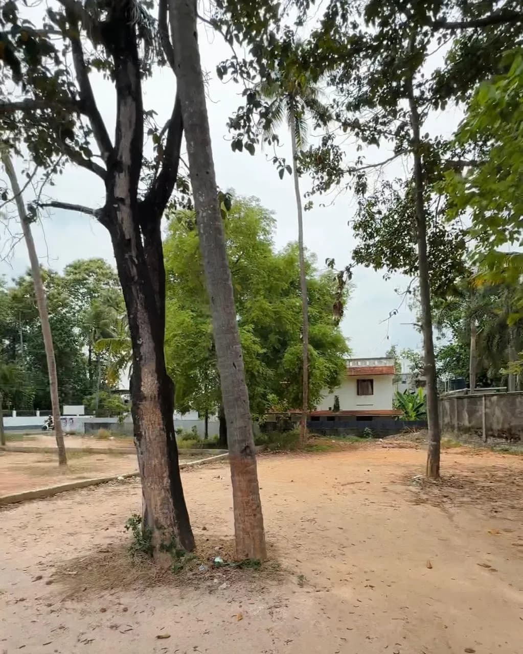 32 cent in Pallimuk, Opposite to Younus College, Kollam