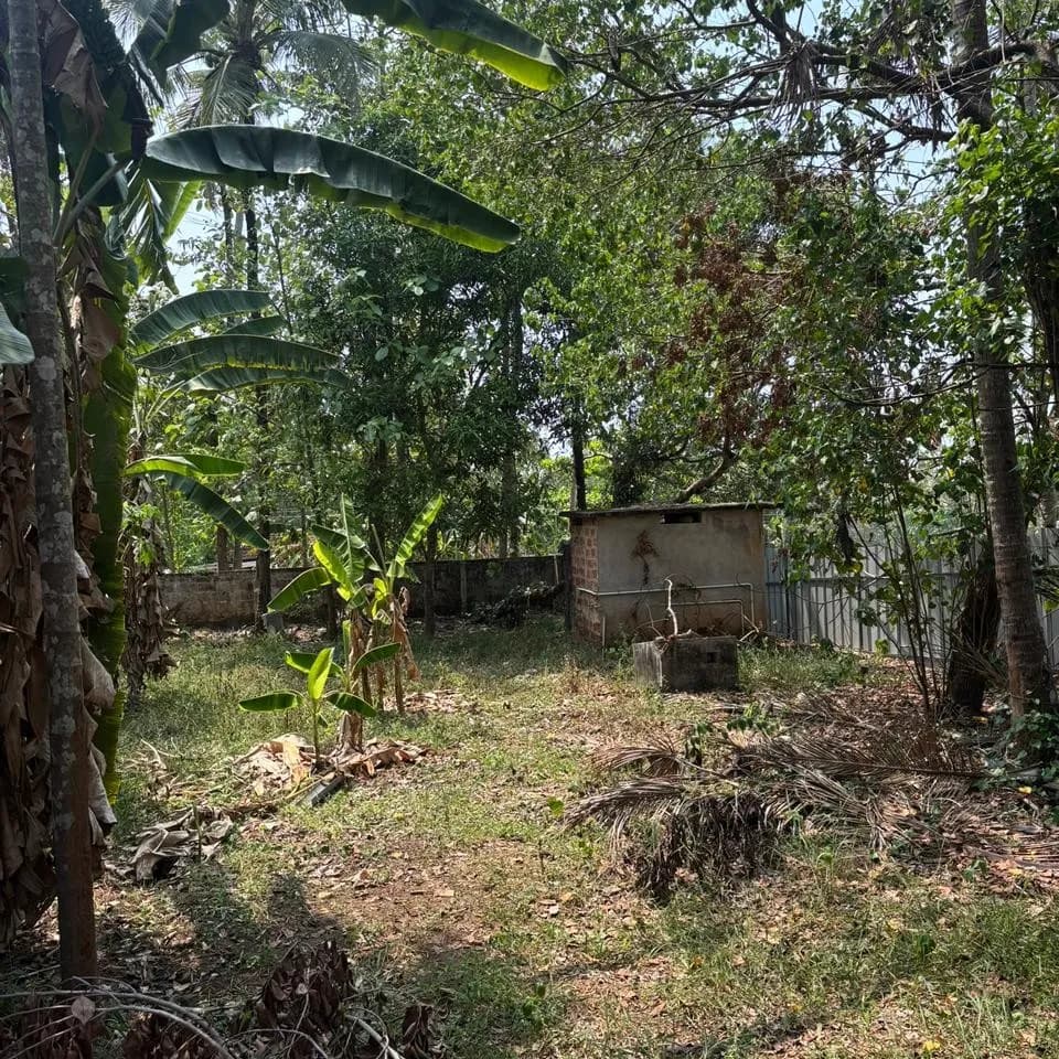 16 Cent with BHK house in Thazhuthala, Kollam