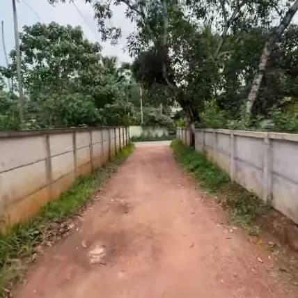 16 cent with 3bhk house in Nallila, Kollam