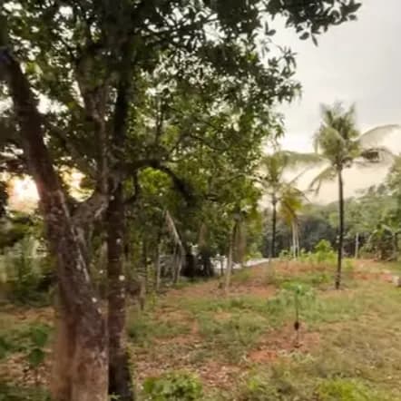50 cent land with house in Nadakkal, Kalluvathukkal-Kollam
