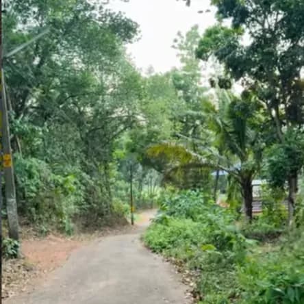 50 cent land with house in Nadakkal, Kalluvathukkal-Kollam