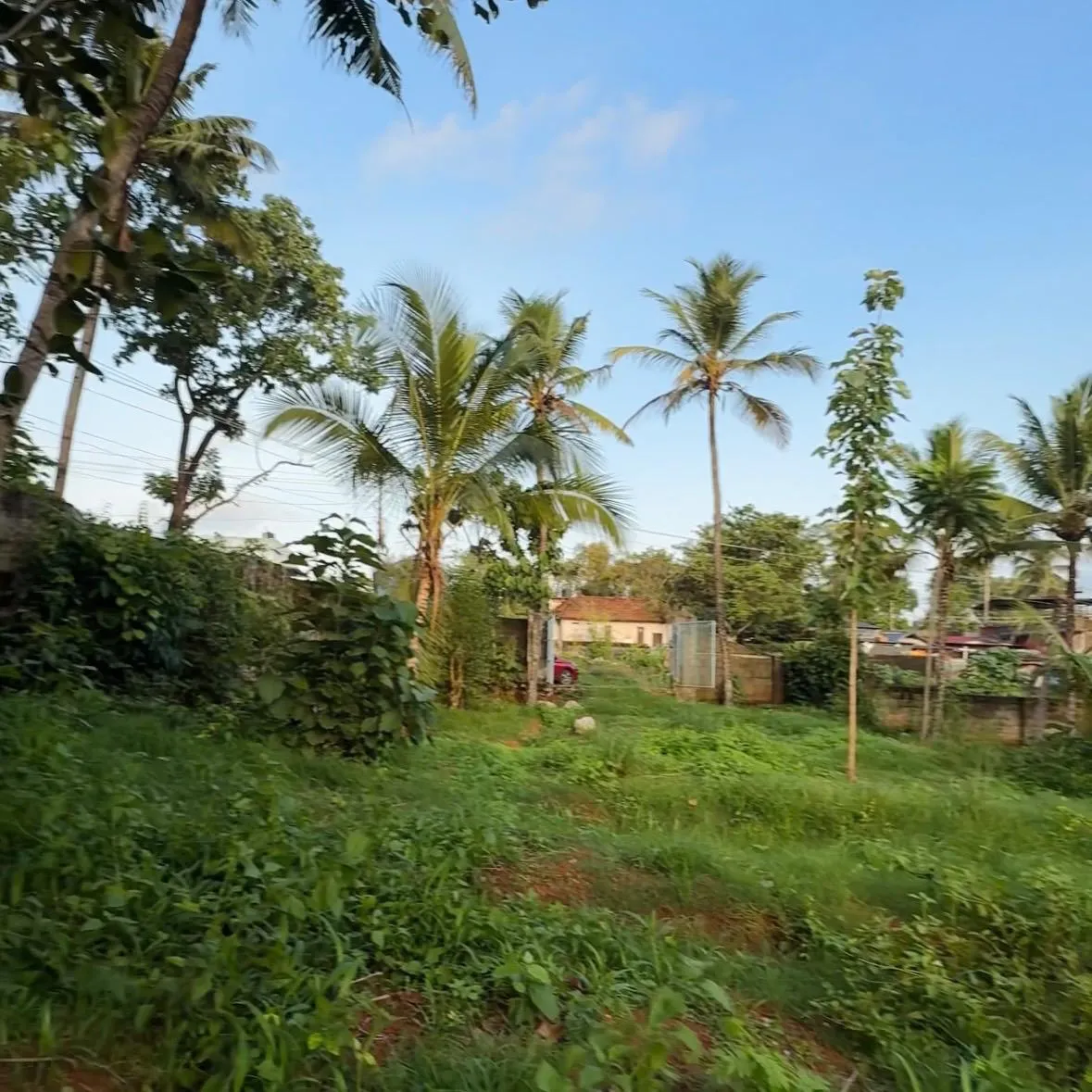 21 Cents in Kundara Pallimuk, Kollam