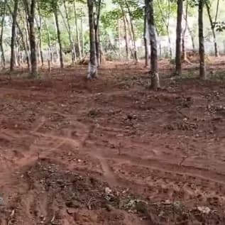 2.25 Acres Plot in bharanikkavu, Kollam