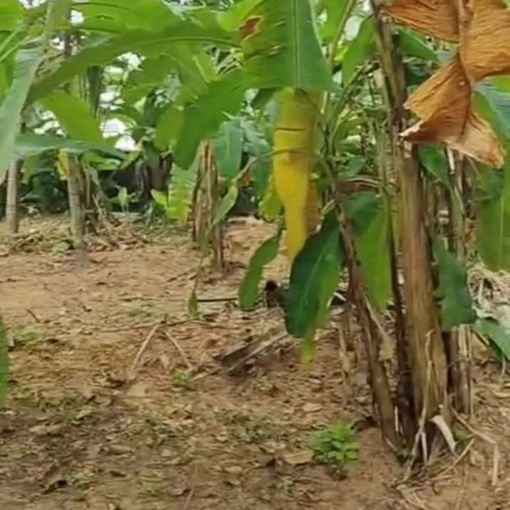 28 Cents land near Anchalummoodu Jn, Kollam