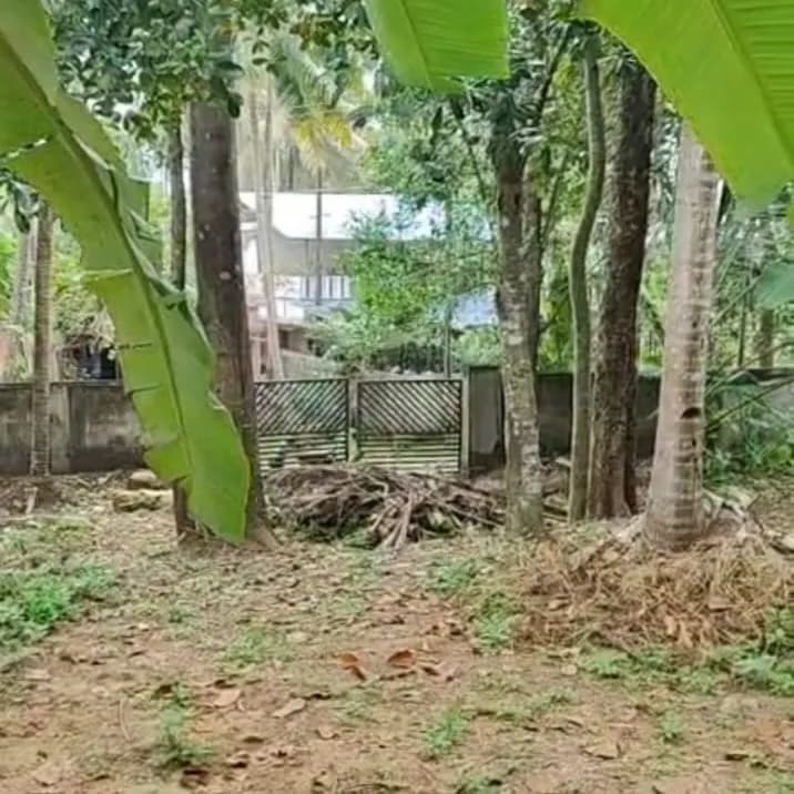 28 Cents land near Anchalummoodu Jn, Kollam