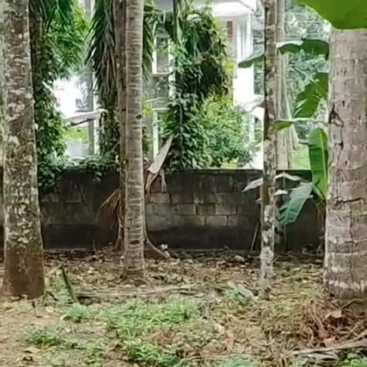 28 Cents land near Anchalummoodu Jn, Kollam