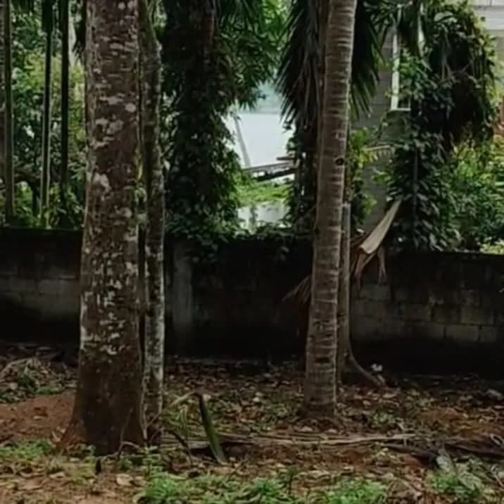 28 Cents land near Anchalummoodu Jn, Kollam