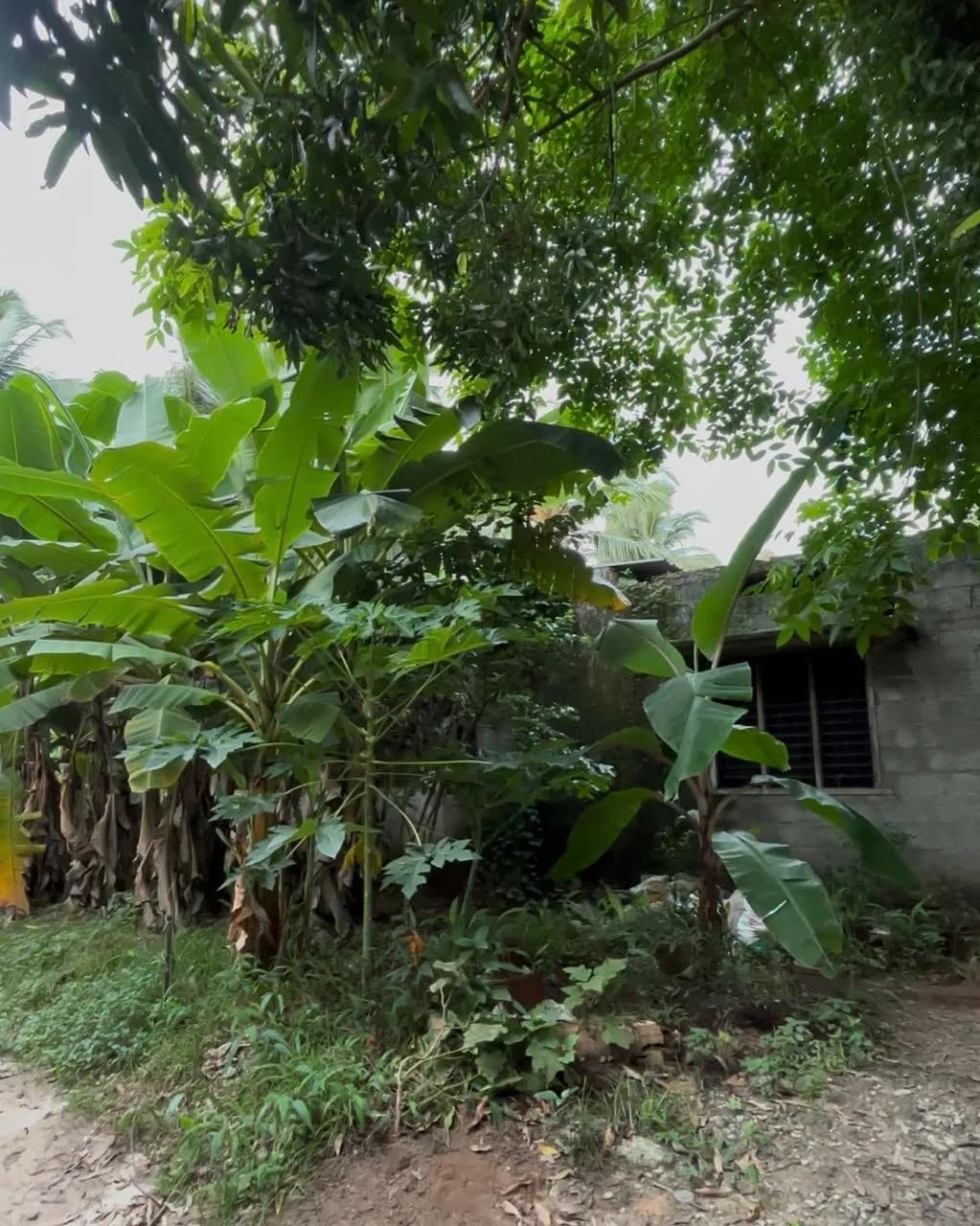 5 Cent land + Unfinished House - Kulathoor, Near UST CAMPUS, Trivandrum