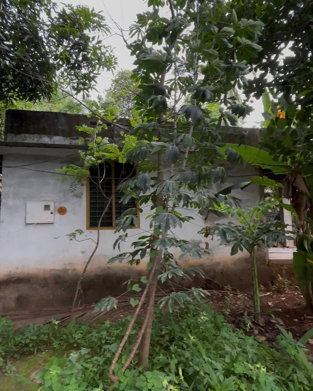 5 Cent land + Unfinished House - Kulathoor, Near UST CAMPUS, Trivandrum