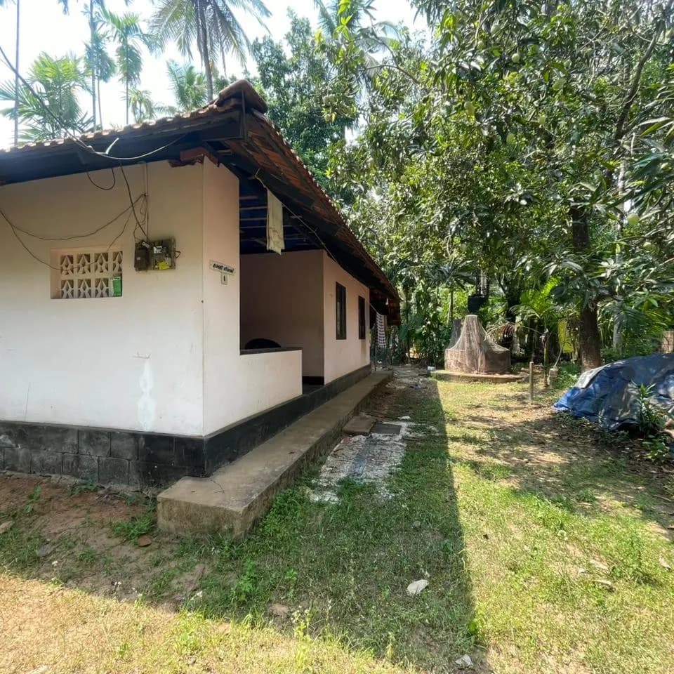 11 cent with house for sale in poollakandy Balussery, Kozhikode