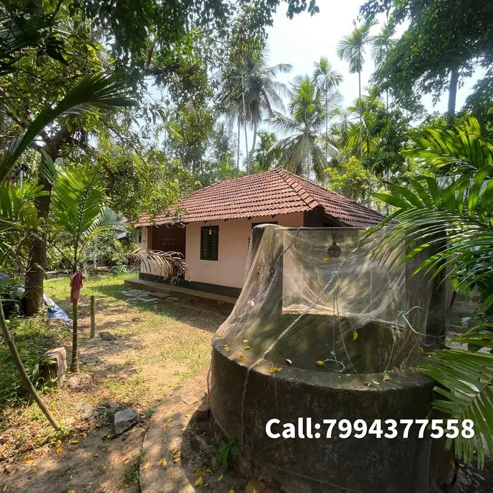 11 cent with house for sale in poollakandy Balussery, Kozhikode