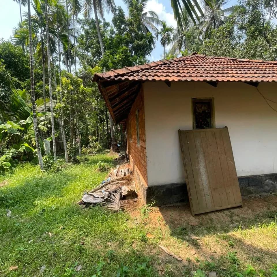 11 cent with house for sale in poollakandy Balussery, Kozhikode