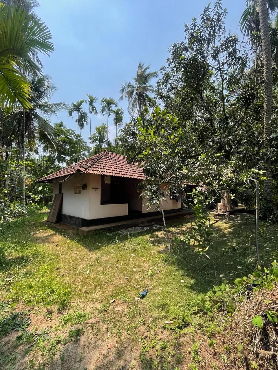 11 cent with house for sale in poollakandy Balussery, Kozhikode