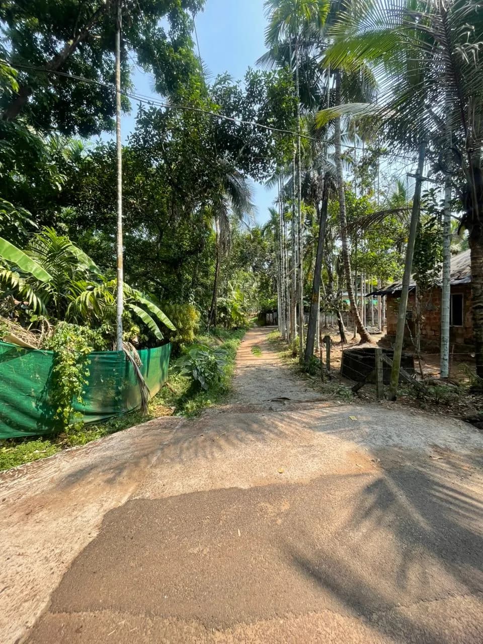 11 cent with house for sale in poollakandy Balussery, Kozhikode