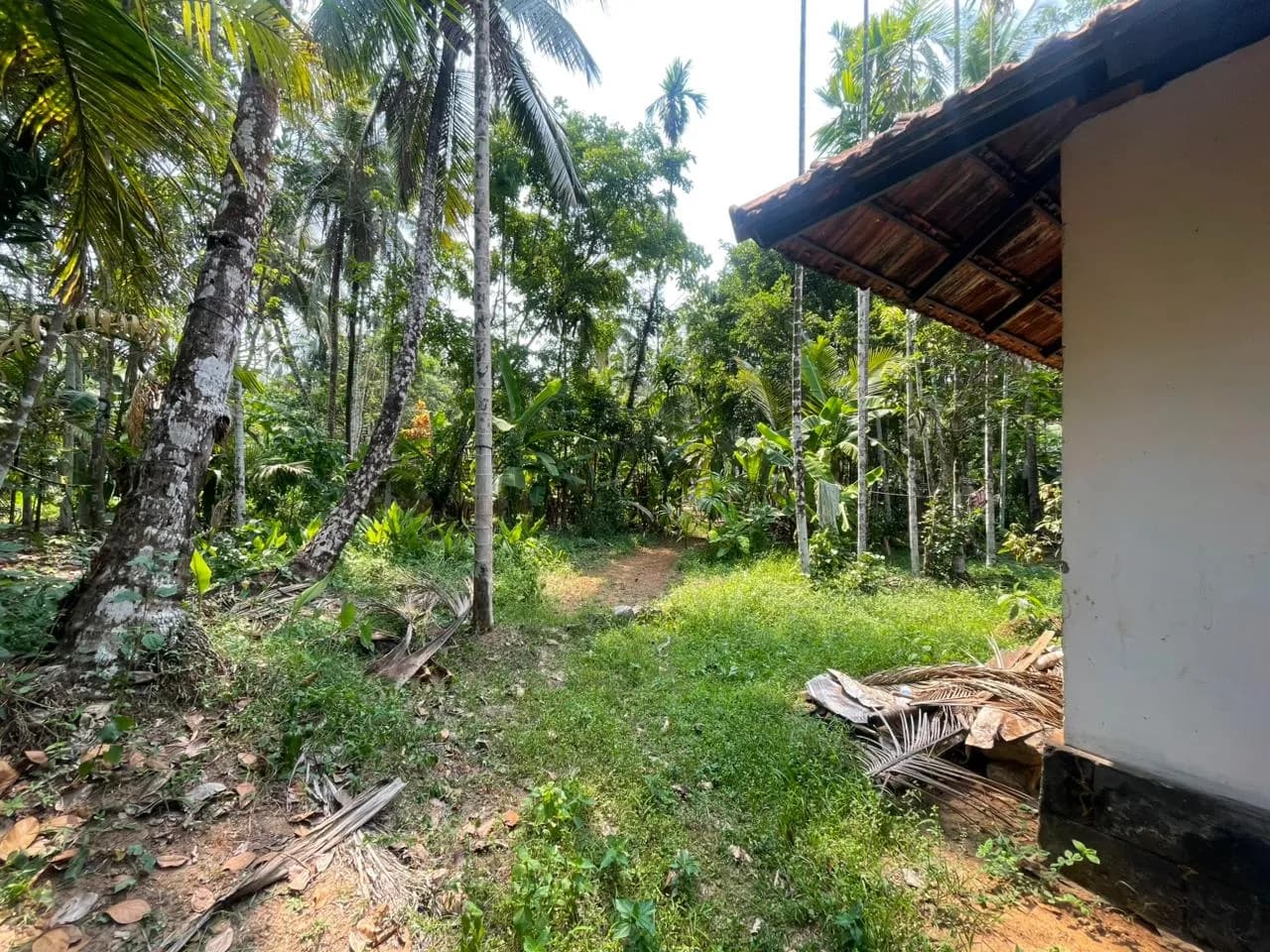 11 cent with house for sale in poollakandy Balussery, Kozhikode