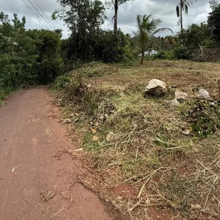 15 Cents Land, near Cherumoodu Jn, Kollam