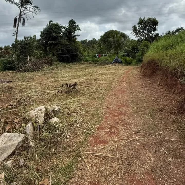 15 Cents Land, near Cherumoodu Jn, Kollam