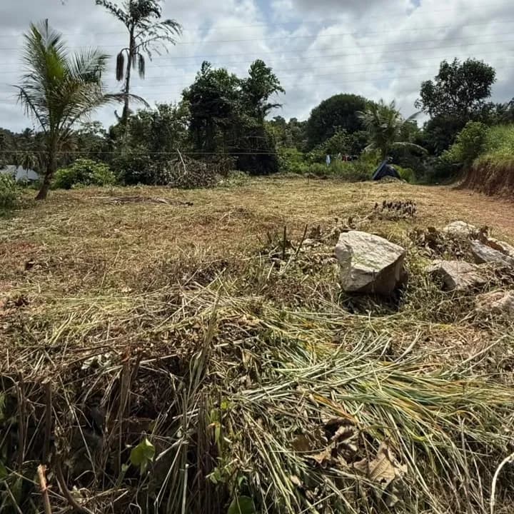 15 Cents Land, near Cherumoodu Jn, Kollam