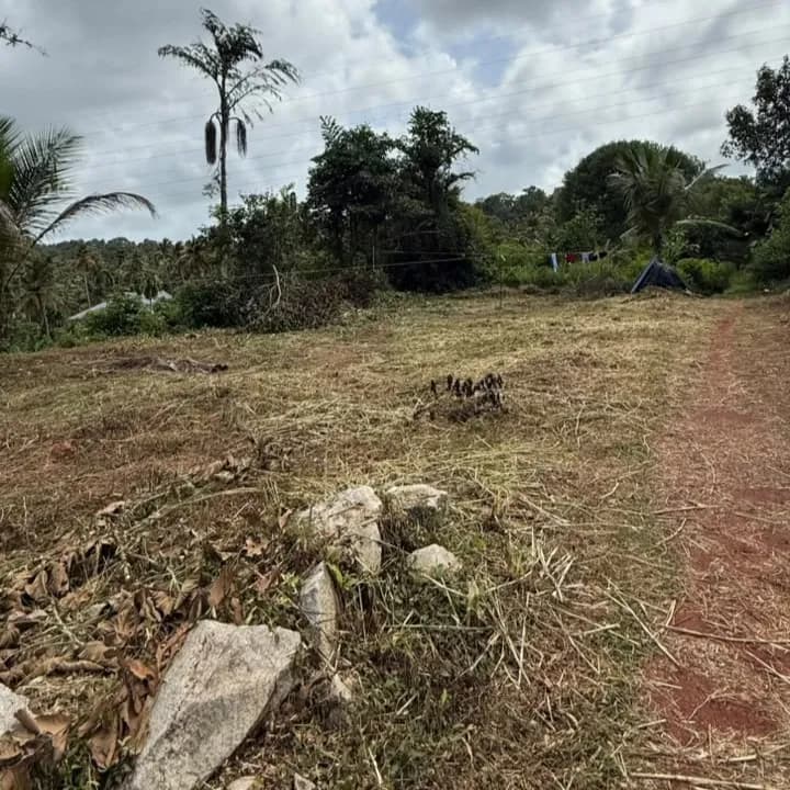 15 Cents Land, near Cherumoodu Jn, Kollam