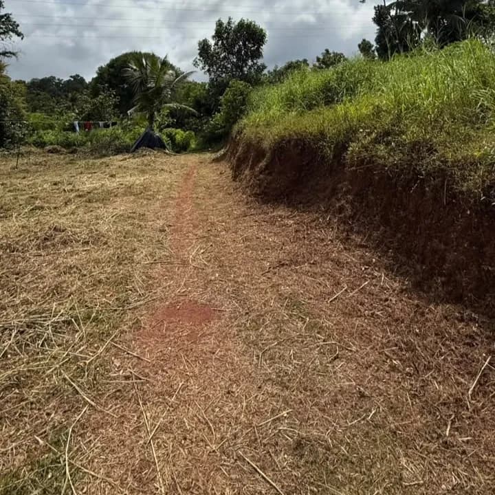 15 Cents Land, near Cherumoodu Jn, Kollam