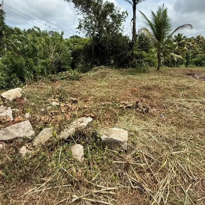 15 Cents Land, near Cherumoodu Jn, Kollam