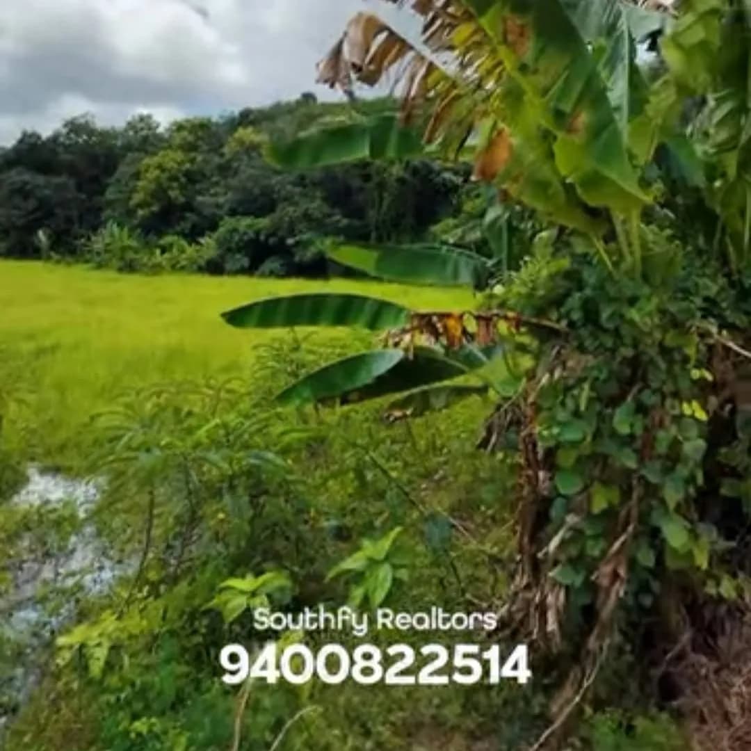 36 Cents Land, Kulakada Jn, Kollam